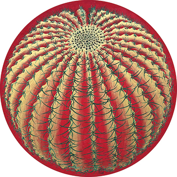 A Ball Cacti-2 2024 20R