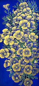 California Poppy-3 22x10