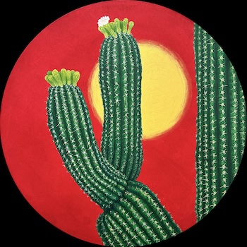 Saguaro-4 20R