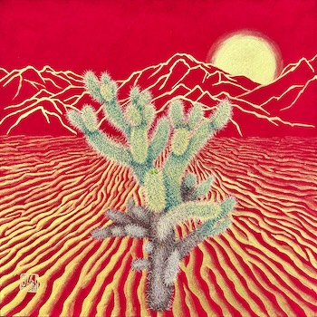 A Teddy Bear Cholla 10x10