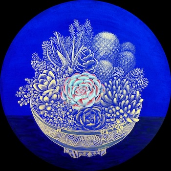 Succulents in a pot 18R