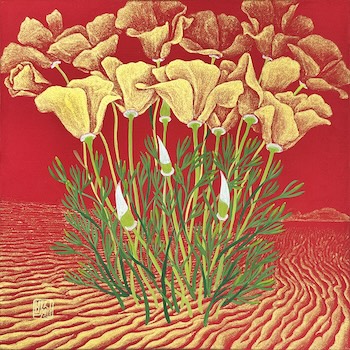 California Poppy-3 10x10