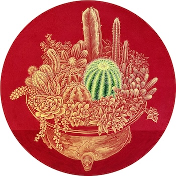 Succulents in a Hwaro